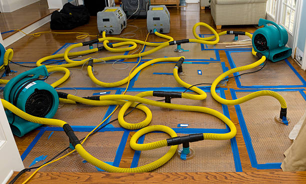 Professional Water Extraction technician working in Stockton, MO